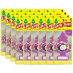 Little Trees Dragon Fruit Air Freshener 24ct - U1P-10397