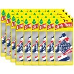 Little Trees Fresh Shave Air Freshener 24ct - U1P-17068
