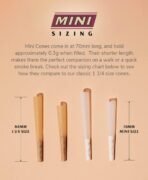 Zig-Zag 70mm Unbleached Paper Cones (8ct) 12-Count Carton - Image 4